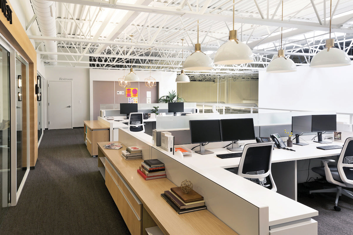 Designer Lighting Fixtures showcased in a commercial office setting.