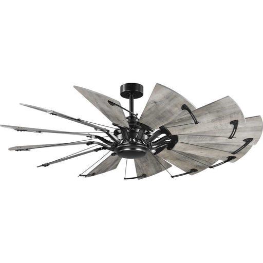P250000-31M - Springer 60" Ceiling Fan in Matte Black by Progress Lighting