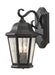 Martinsville Two Light Outdoor Wall Lantern in Black