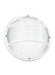 Bayside One Light Outdoor Wall / Ceiling Mount in White