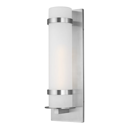 Alban One Light Outdoor Wall Lantern in Satin Aluminum