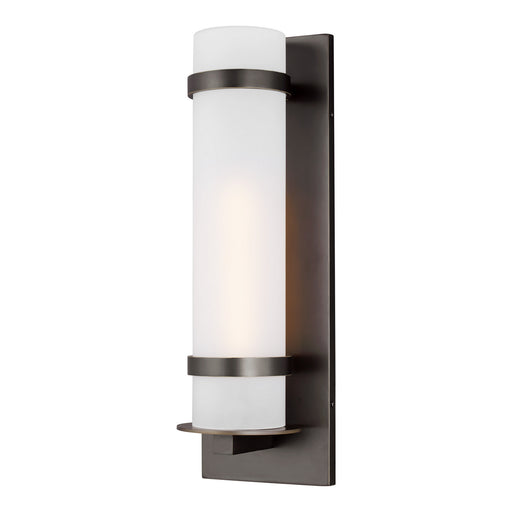 Alban One Light Outdoor Wall Lantern in Antique Bronze