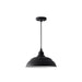 RLM Shade & Cord Canopy in Black