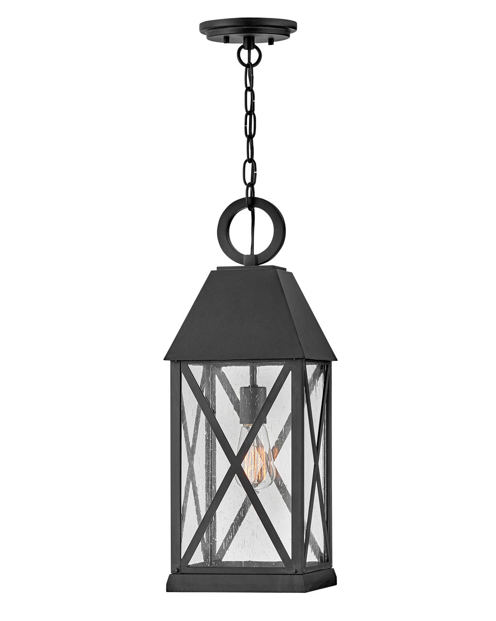 Briar One Light Hanging Lantern in Museum Black by Hinkley Lighting