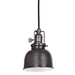 Central Park 1-Light Pendant with 5" Metal Shade in Gun Metal