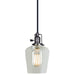 Central Park 1-Light Pendant with 4" Glass Shade in Gun Metal