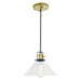 Uptown 1-Light Flora Pendant in Satin Brass & Black with Bubble Glass