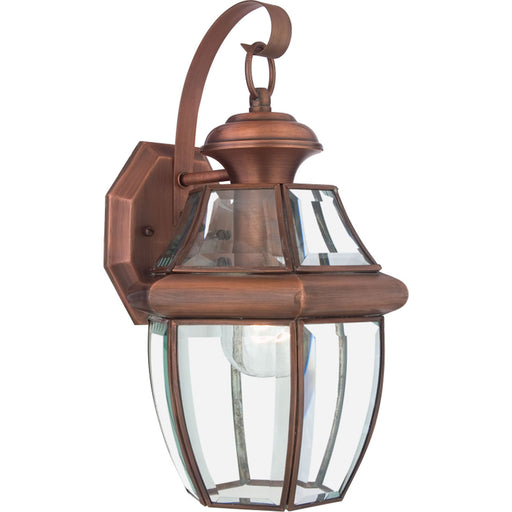 Newbury 1-Light Outdoor Lantern in Aged Copper