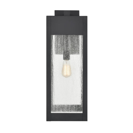 Angus One Light Outdoor Wall Sconce in Charcoal