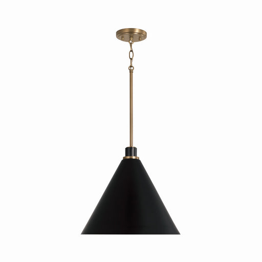Bradley One Light Pendant in Aged Brass and Black