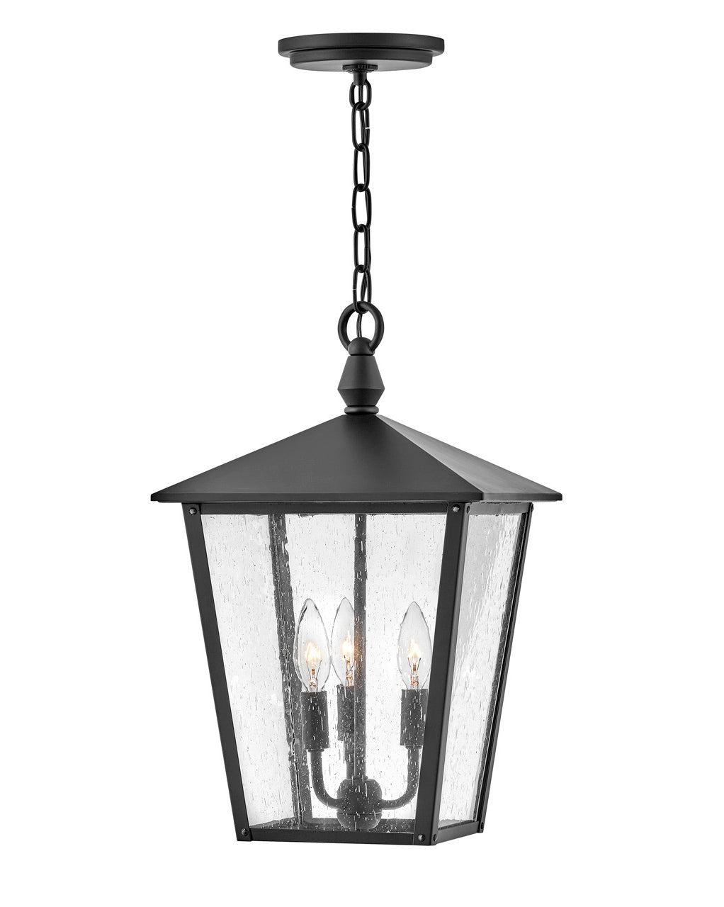 Huntersfield  Medium Hanging Lantern in Black