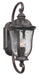 Frances 1-Light Wall Lantern in Oiled Bronze Outdoor with Clear Hammered Glass