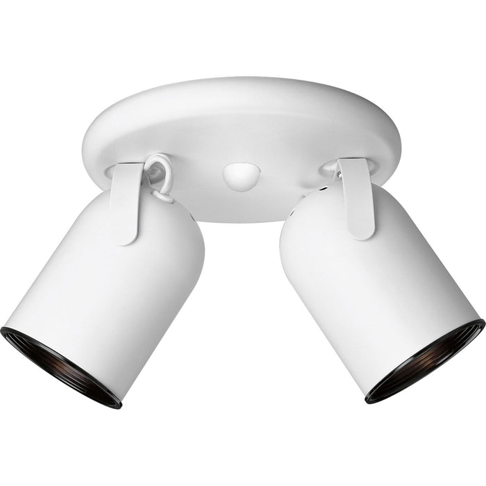 2-Light Multi Directional Roundback Wall/Ceiling Fixture in White