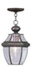 Monterey 1 Light Outdoor Chain Lantern in Bronze