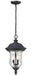 Armstrong 2 Light Outdoor Chain Light in Black