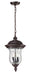 Armstrong 2 Light Outdoor Chain Light in Rubbed Bronze