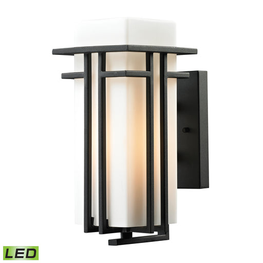 Croftwell 1-Light Outdoor Sconce