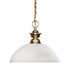 Shark 1 Light Pendant in Polished Brass with Matte Opal Glass
