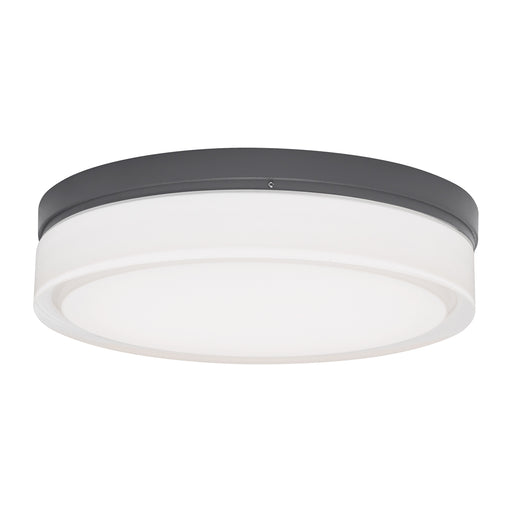 Cirque Large Outdoor Wall Sconce/Flush Mount in Charcoal