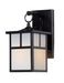 Coldwater 1-Light Outdoor Wall Lantern in Black