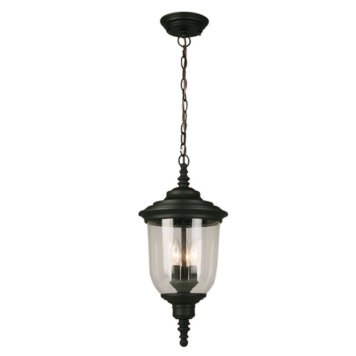 Pinedale 3x60W Outdoor Pendant With Matte Black Finish & Clear Seedy Glass