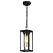 Walker Hill 1x60W Outdoor Pendant With Matte Black Finish & Clear Glass