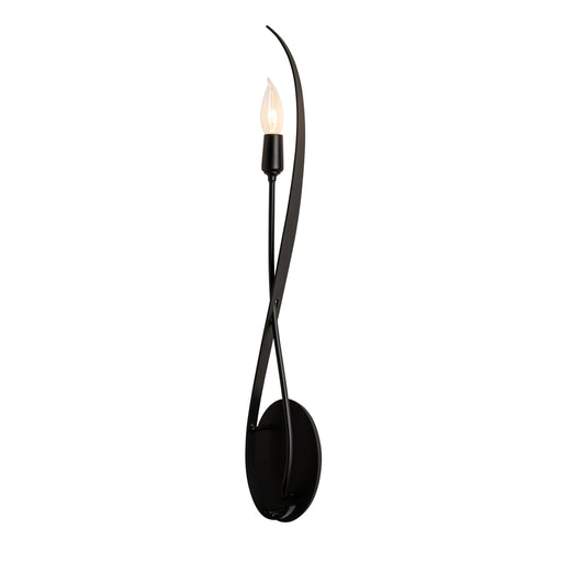 Willow Sconce in Black (10)
