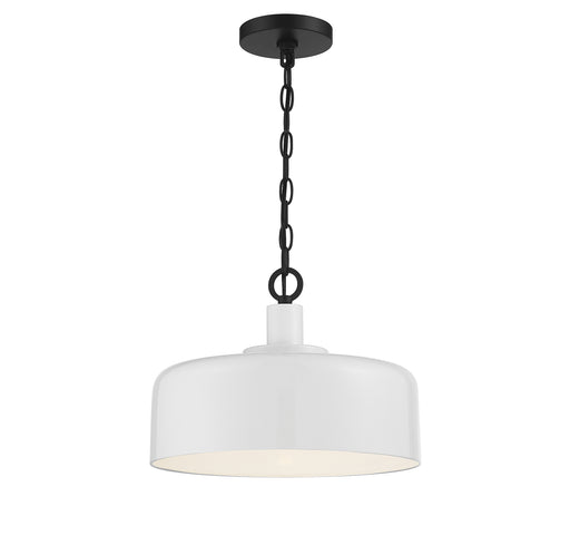 1-Light Pendant in White with Black