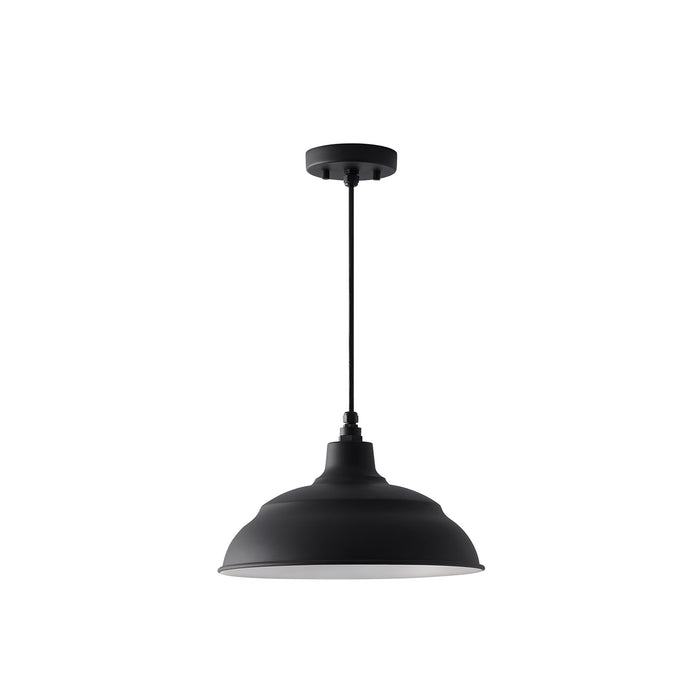 RLM 1-Light Outdoor Pendant in Black - Lamps Expo