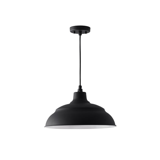 RLM 1-Light Outdoor Pendant in Black - Lamps Expo