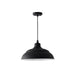 RLM 1-Light Outdoor Pendant in Black - Lamps Expo