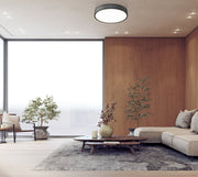 Madison 1 Light 20.5" Flush Mount in Matte Black in a room setting