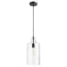 Transitional Pendant in Textured Black
