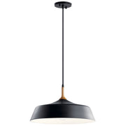 Danika 16" Pendant in Black