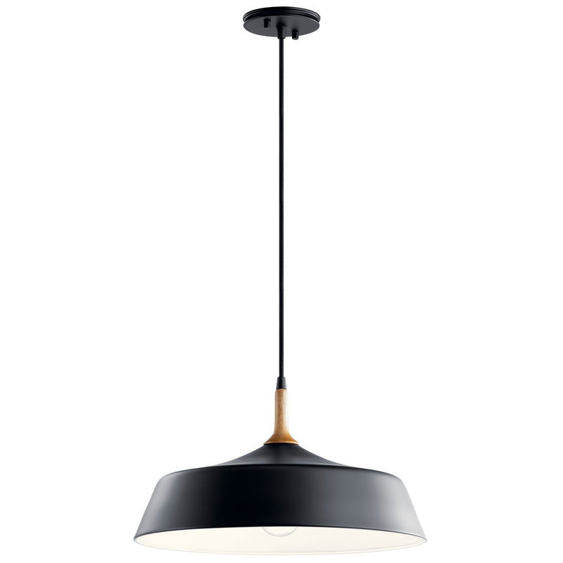Danika 16" Pendant in Black