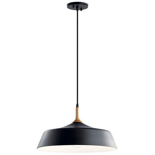 Danika 16" Pendant in Black