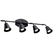 Sylvia 4-Light Bath Vanity Light in Black