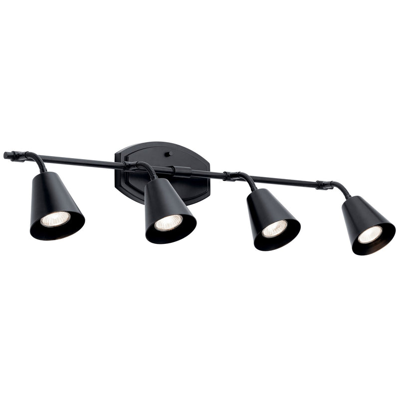 Sylvia 4-Light Bath Vanity Light in Black
