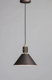 Tucson 1 Light 11" Pendant in Oil Rubbed Bronze / Weathered Wood