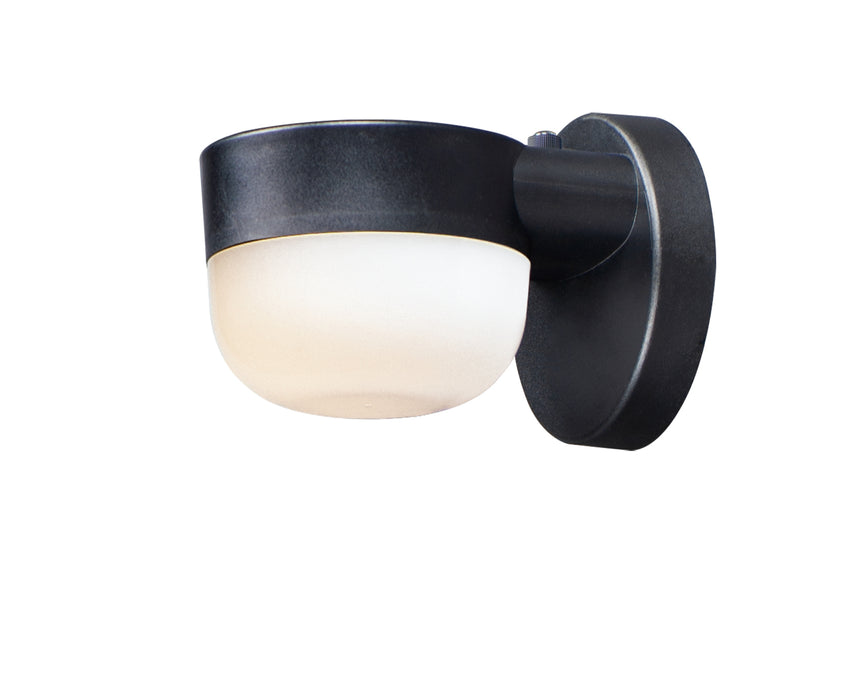 Michelle LED Outdoor Wall Sconce in Black