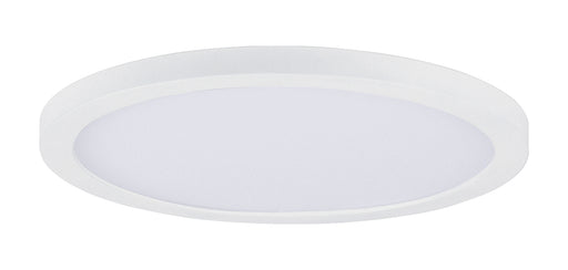 Chip LED Flush Mount in White