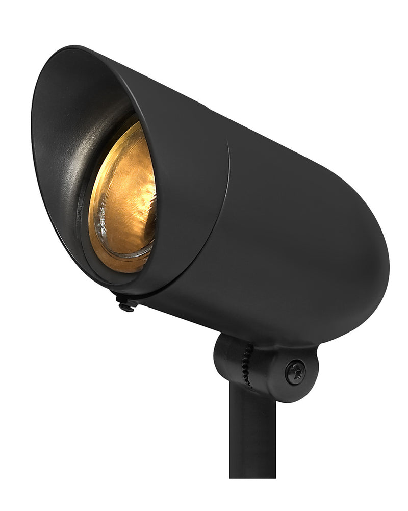 Line Voltage Spot Light in Black