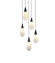 Amora 16" 5-Light Round Alabaster Pendant in Black And Frosted White