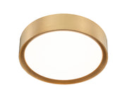 Kawan 1 Light 12" Flush Mount in Modern Gold