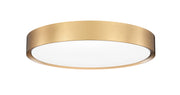 Kawan 1 Light 20" Flush Mount in Modern Gold