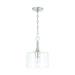 Carter 1-Light Pendant in Brushed Nickel - Lamps Expo