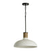 Destin 1-Light Pendant in Dark Pewter - Lamps Expo