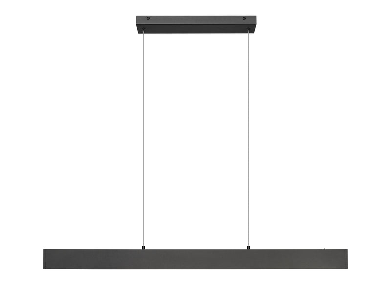 Hudson 1 Light 45" Linear Pendant in Matte Black