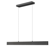 Hudson 1 Light 45" Linear Pendant in Matte Black