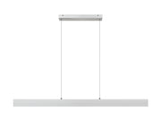 Hudson 1 Light 55" Linear Pendant in Brushed Nickel